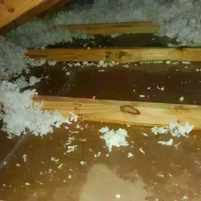 Attic Water Damage in San Diego, TX