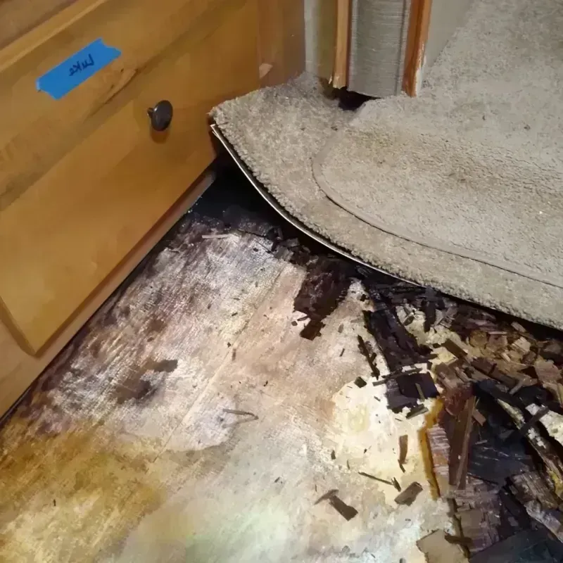 Wood Floor Water Damage in San Diego, TX